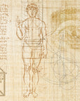 Anatomy of numbers Wallpaper