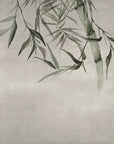 Bamboo Evergreen Wallpaper