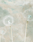 Dandelion Whisper Wallpaper