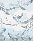 Moises' Ark Wallpaper