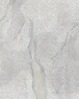 Nomadic Wall Grey Wallpaper
