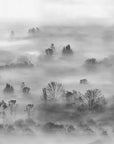 Foggy Landscape Grey Wallpaper
