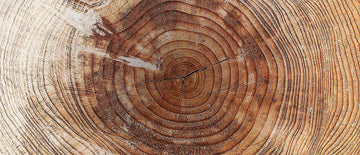 Let’s talk about wood