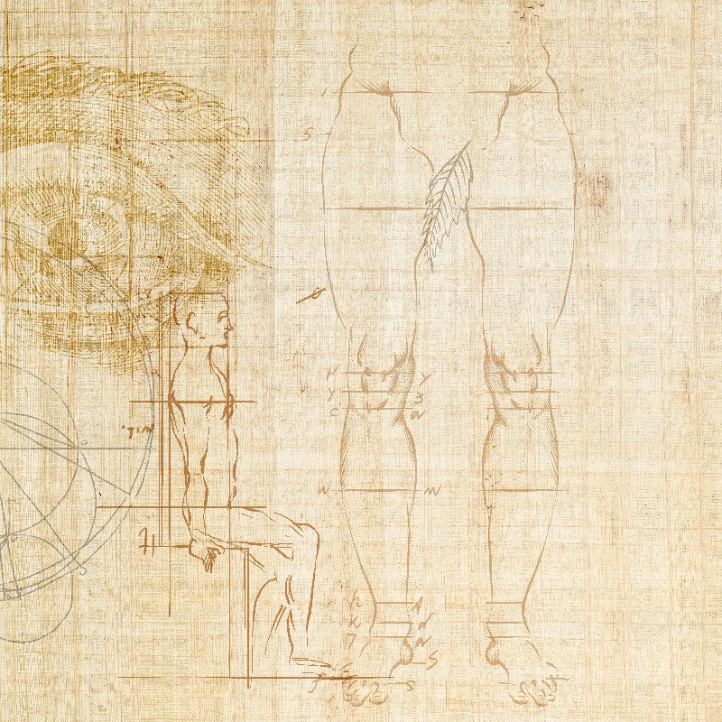 Anatomy of numbers Wallpaper