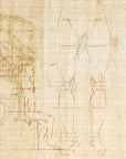 Anatomy of numbers Wallpaper