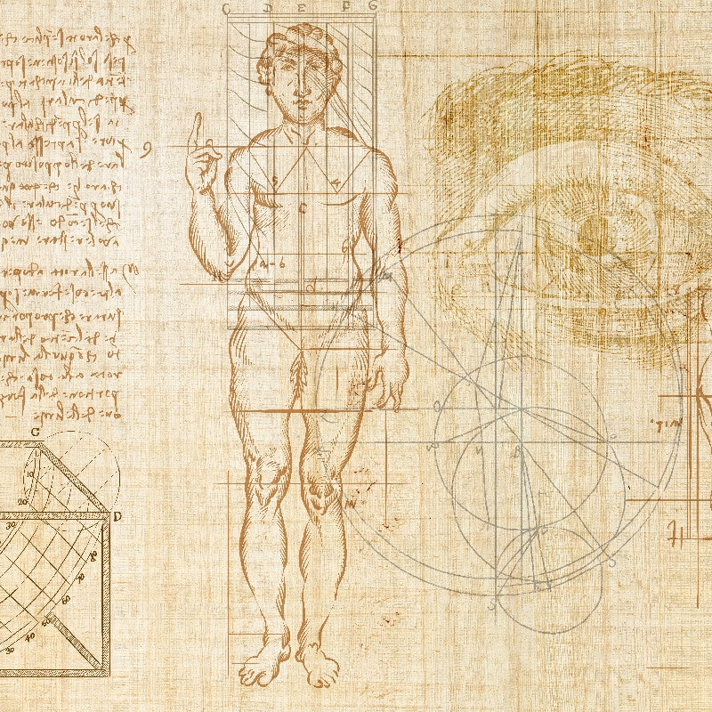 Anatomy of numbers Wallpaper