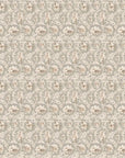 Baby Blush Wallpaper