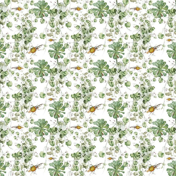 Bugs and Leaves Wallpaper