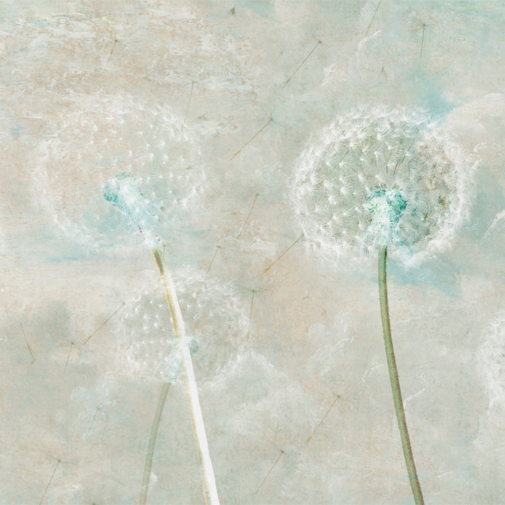 Dandelion Whisper Wallpaper