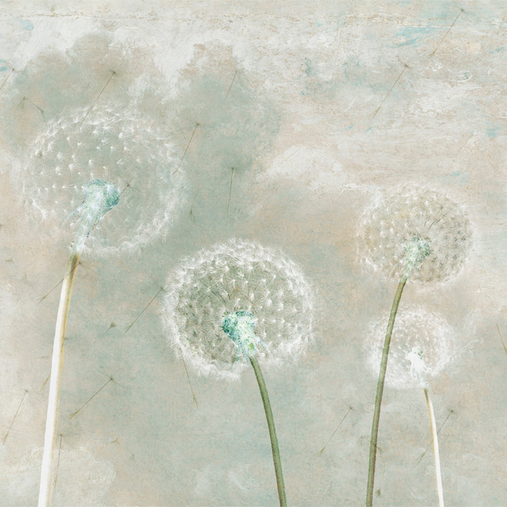 Dandelion Whisper Wallpaper
