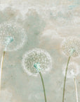 Dandelion Whisper Wallpaper