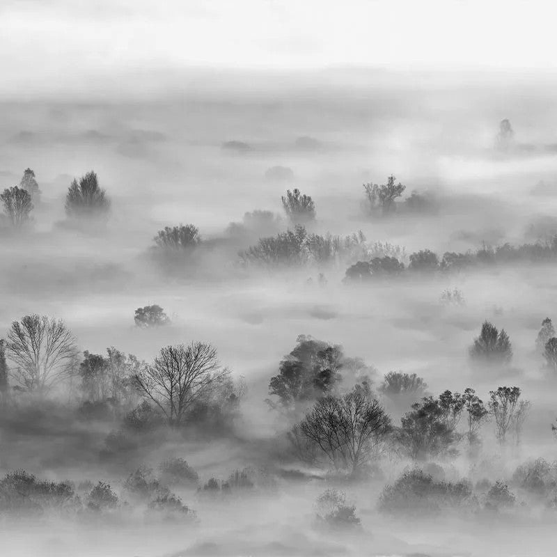 Foggy Landscape Grey Wallpaper