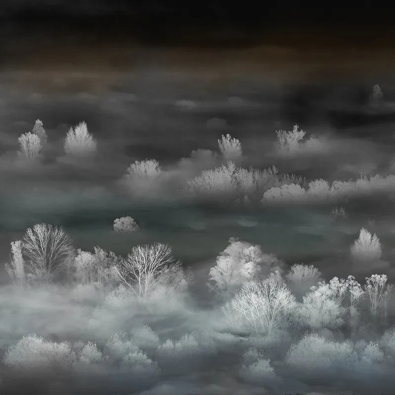 Foggy Landscape Nightview Wallpaper