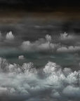 Foggy Landscape Nightview Wallpaper