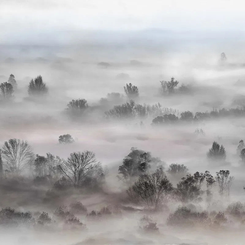 Foggy Landscape Pastels Wallpaper