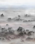 Foggy Landscape Pastels Wallpaper