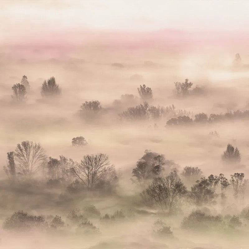 Foggy Landscape Peach Wallpaper