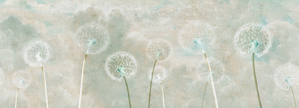 Dandelion Whisper Wallpaper