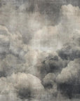 Altos Grunge Grey Wallpaper