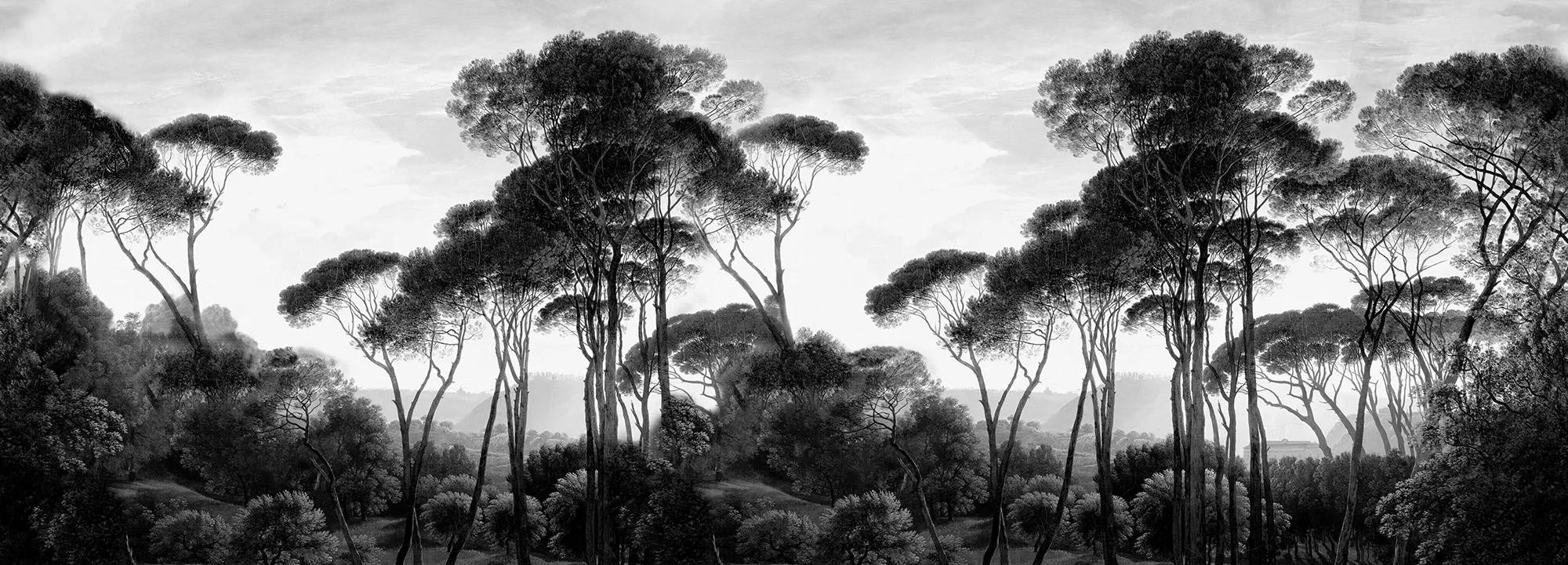 Taormina Pines Wallpaper