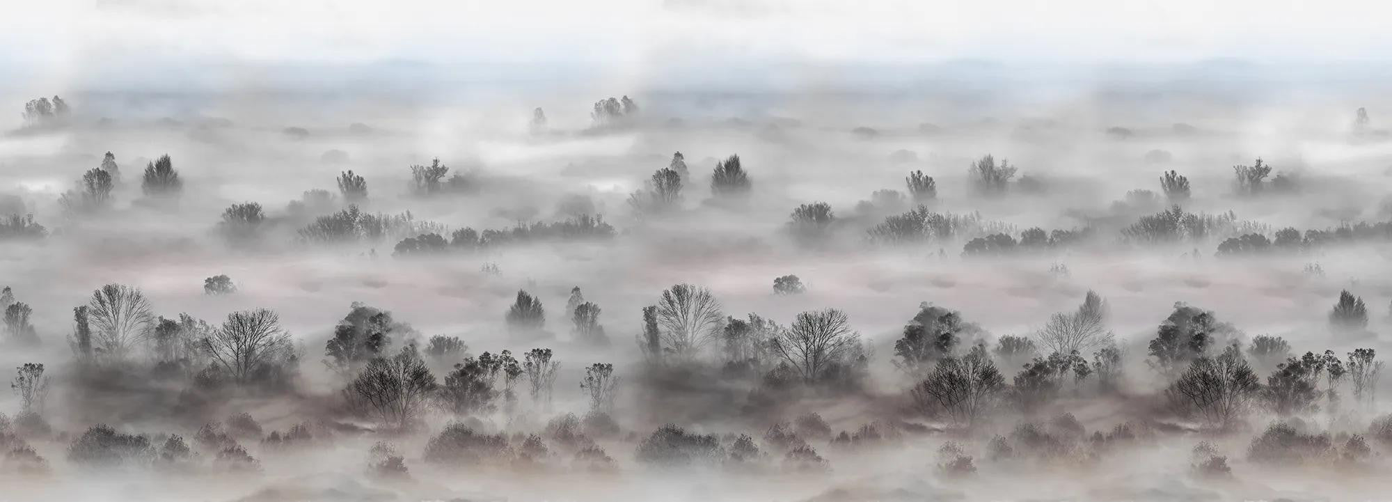 Foggy Landscape Pastels Wallpaper
