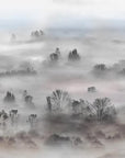 Foggy Landscape Pastels Wallpaper