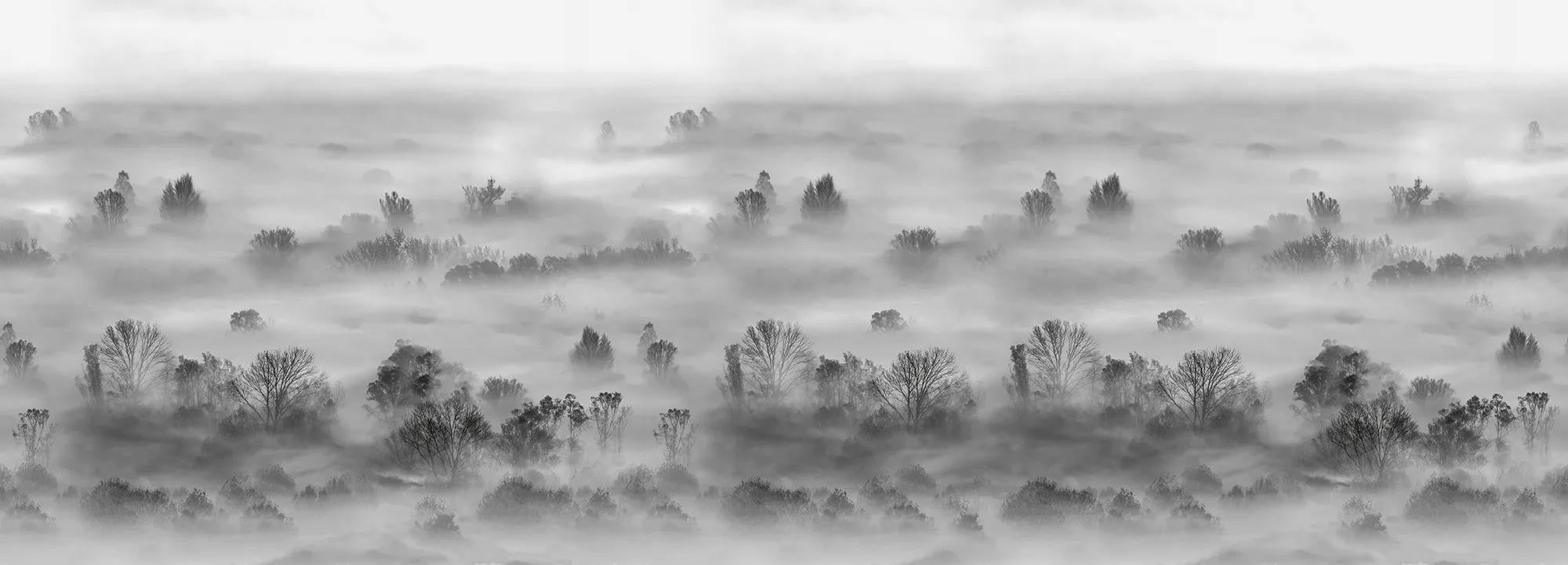 Foggy Landscape Grey Wallpaper