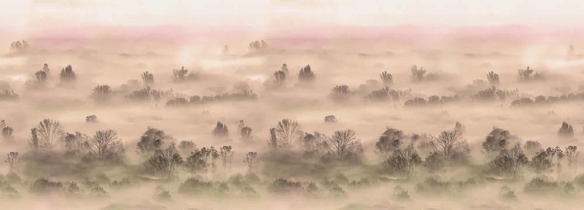 Foggy Landscape Peach Wallpaper
