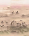 Foggy Landscape Peach Wallpaper