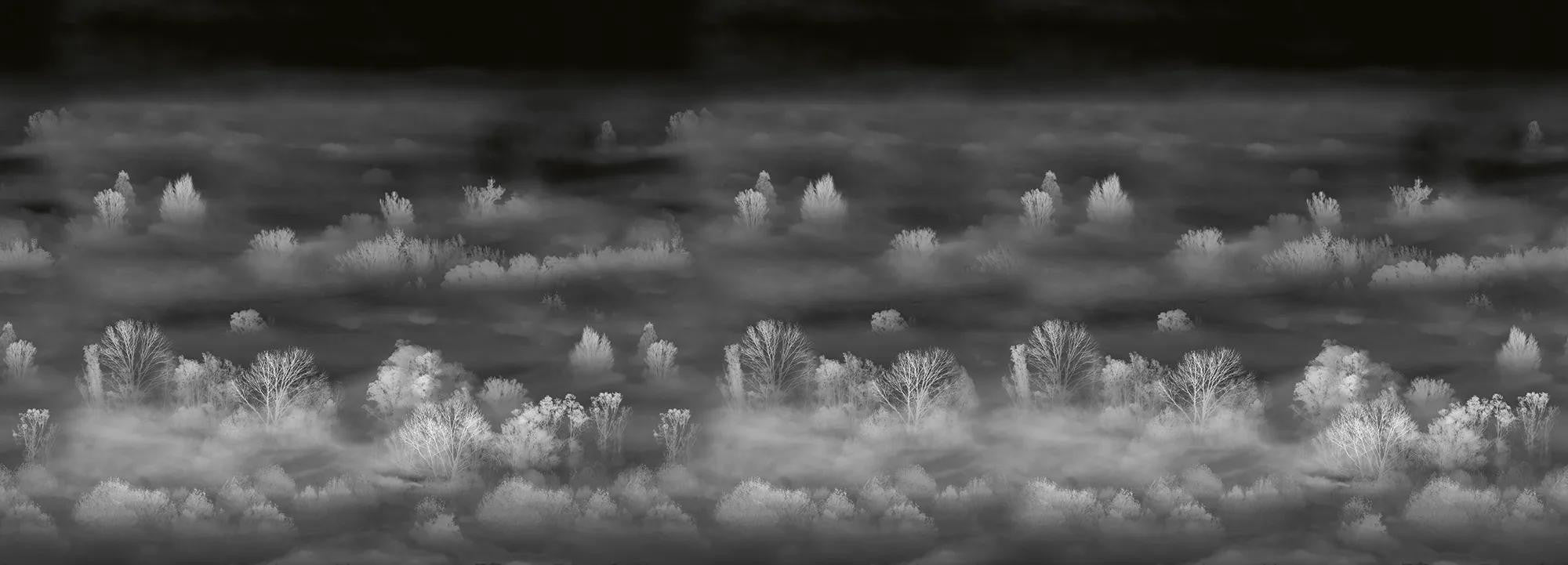 Foggy Landscape Nightview Wallpaper