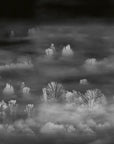 Foggy Landscape Nightview Wallpaper