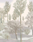 Foggy forest Wallpaper