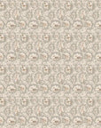 Baby Blush Wallpaper