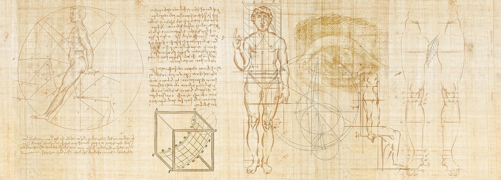 Anatomy of numbers Wallpaper