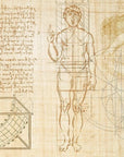 Anatomy of numbers Wallpaper