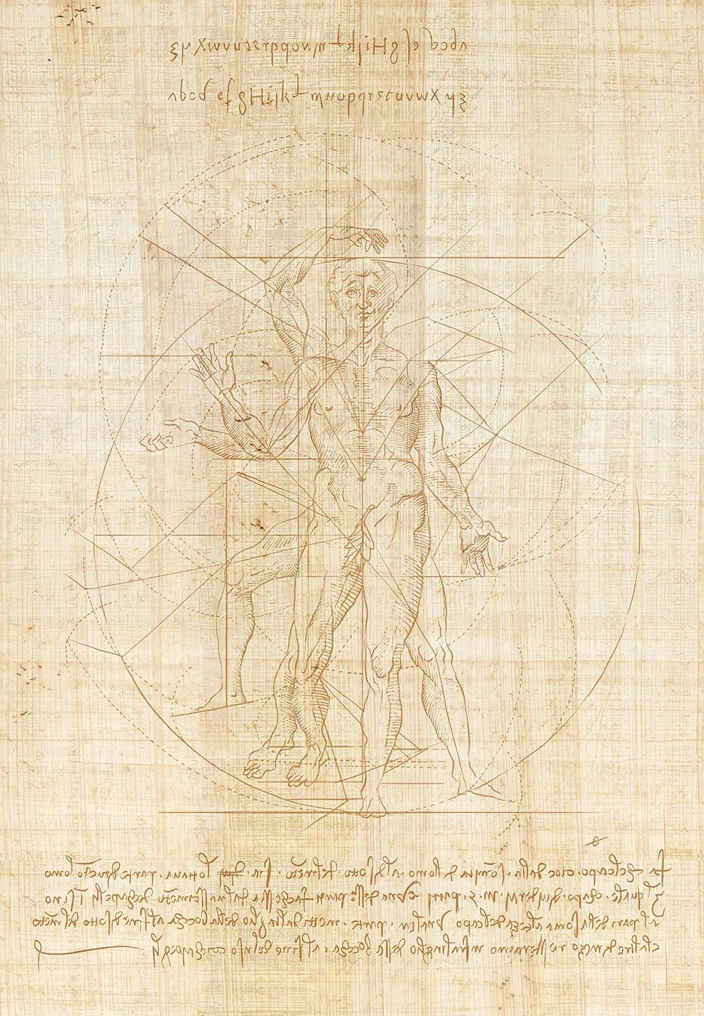 Golden Ratio Wallpaper