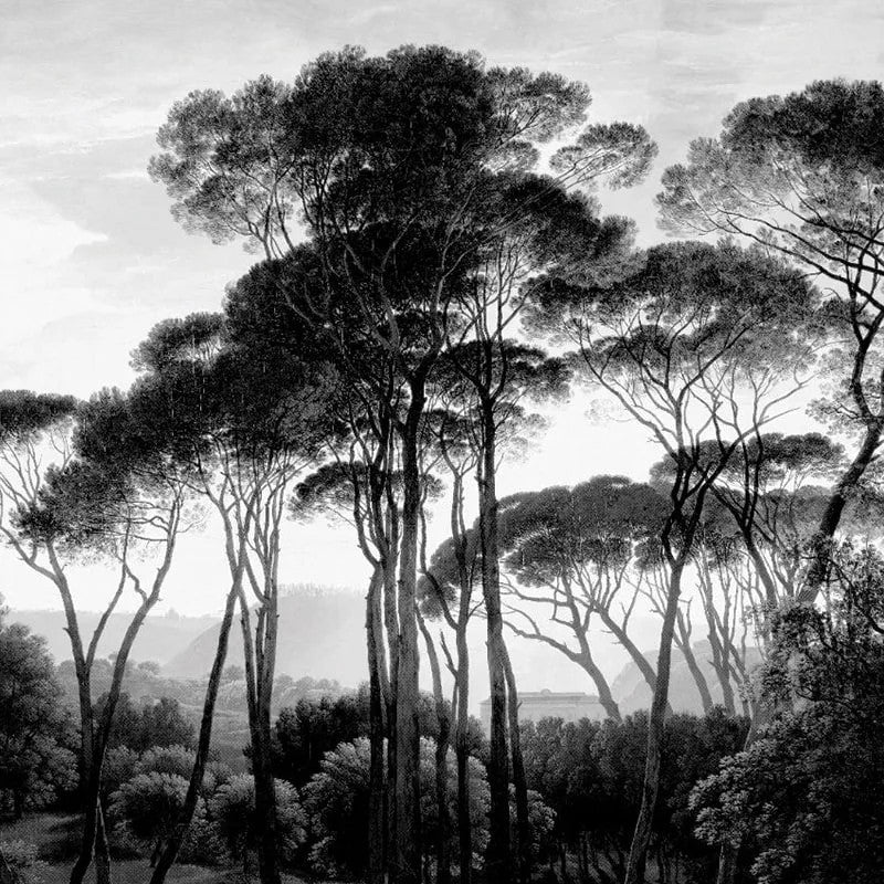 Taormina Pines Wallpaper